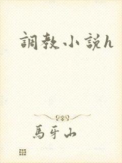调教小说h封面