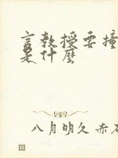 言教授要撞坏了是什么