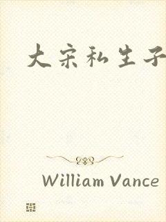 大宋私生子封面