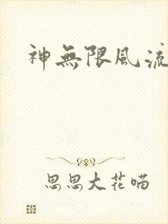 神无限风流封面