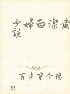 少妇白洁黄色小说封面