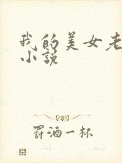 我的美女老板 小说封面