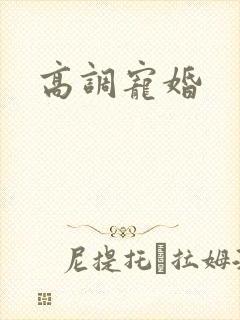 高调宠婚封面