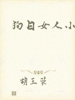 狗日女人小说