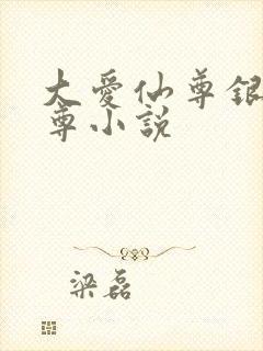 大爱仙尊银邪魔尊小说封面