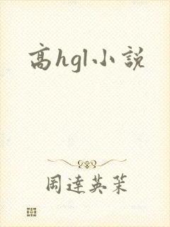 高hgl小说封面