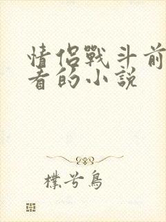 情侣战斗前适合看的小说封面