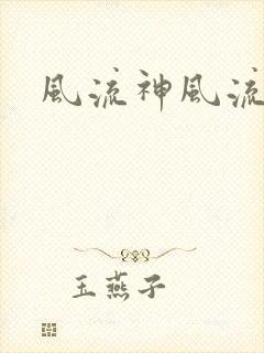 风流神风流记封面