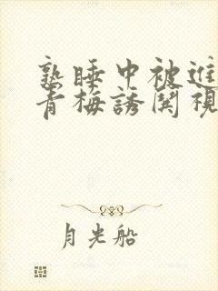 熟睡中被进了H青梅诱哄视频