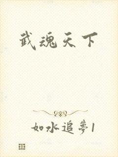 武魂天下