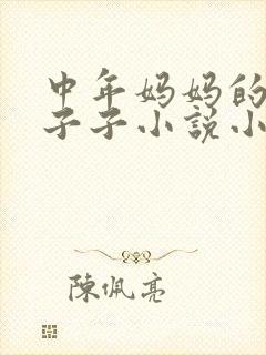 中年妈妈的大奶子子小说小说封面