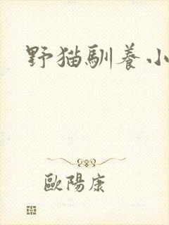 野猫驯养小说封面