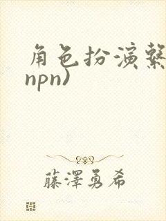 角色扮演系统(npn)