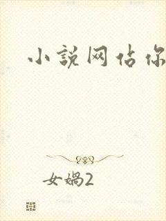 小说网站你懂的