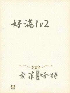 好满1v2