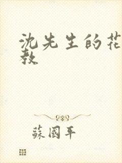 沈先生的花式管教