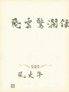飞云惊澜录封面