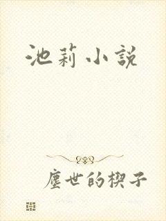 池莉小说