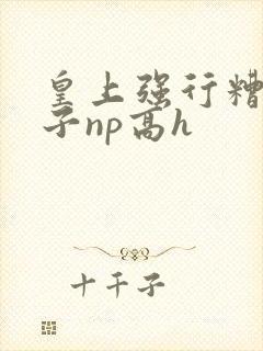 皇上强行糟蹋太子np高h