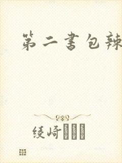 第二书包辣文