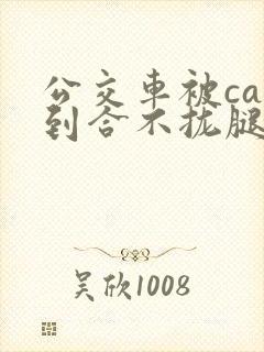 公交车被cao到合不拢腿视频