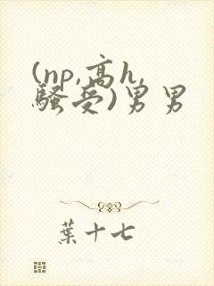 (np,高h,骚受)男男