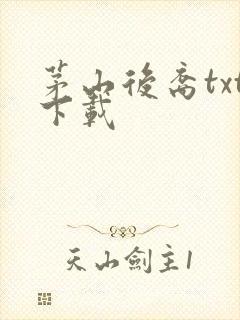 茅山后裔txt下载