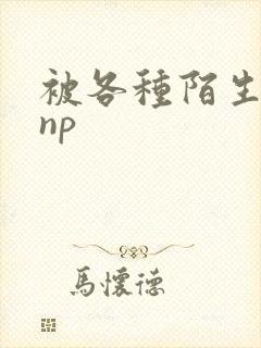 被各种陌生人 np