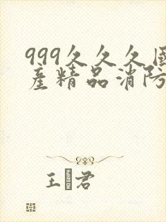 999久久久国产精品消防器材封面