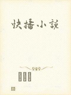 快播小说