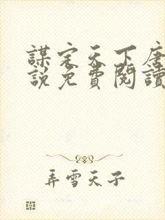 谋定天下唐诚小说免费阅读封面