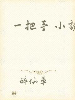 一把手 小说