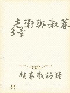 老卫与淑蓉第13章封面