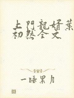 上门龙婿叶辰萧初然全文
