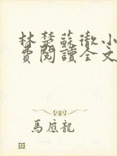 林楚苏彻小说免费阅读全文最新章节