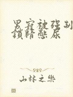 男宠被强制灌水锁精憋尿封面