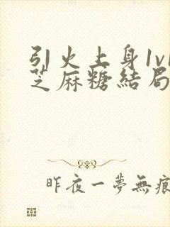 引火上身1v1芝麻糖结局封面