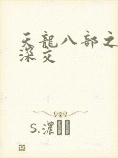 天龙八部之极乐深交封面