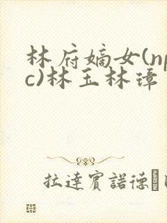 林府嫡女(npc)林玉林璋