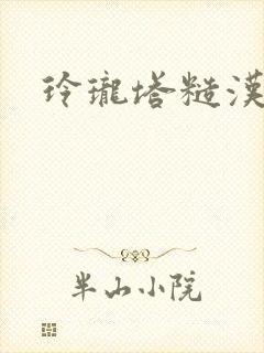 玲珑塔糙汉租客