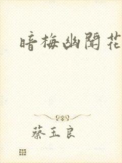 暗梅幽闻花封面