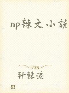np辣文小说