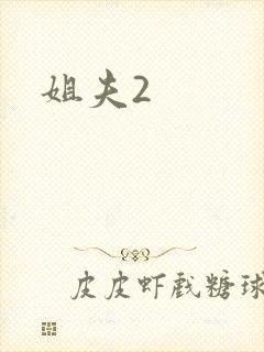 姐夫2