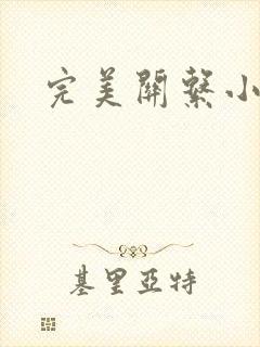 完美关系小说封面