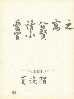 爱情公寓之极品曾小贤