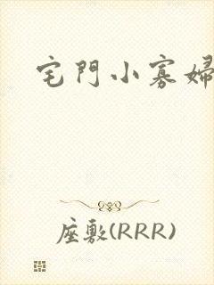 宅门小寡妇