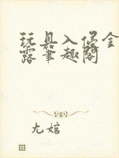 玩具入侵金银花露笔趣阁