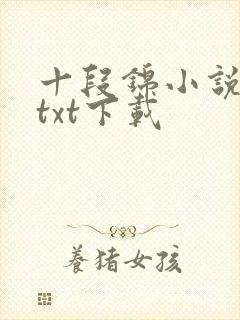 十段锦小说全本txt下载