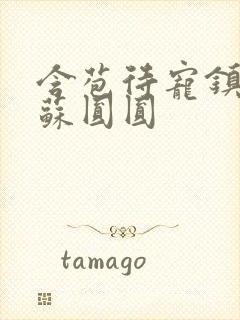 含苞待宠镇国公苏圆圆