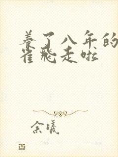 养了八年的金丝雀飞走啦